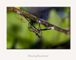IMG_0441a