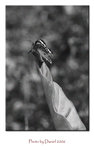 _MG_8060b