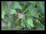 IMG_3823a