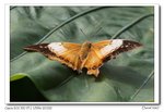 IMG_5067