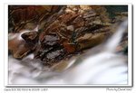 IMG_7109a