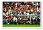 IMG_0874a