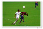 IMG_0916a