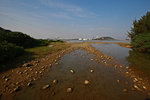 DPP_1051