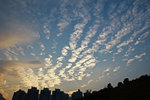 DPP_1058