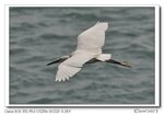 IMG_0669