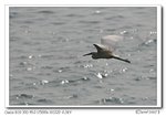 IMG_0689