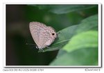 IMG_0704