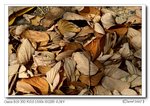 IMG_0706