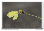 IMG_0710
