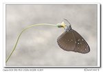 IMG_0713