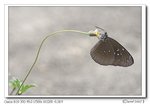 IMG_0715