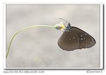 IMG_0718