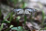 IMG_2177