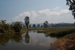 IMG_9800