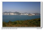IMG_4028