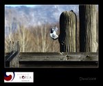 IMG_8141