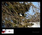 IMG_8143