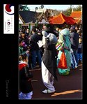IMG_8146