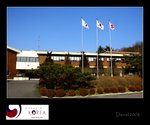 IMG_8161