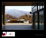 IMG_8169