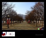 IMG_8173