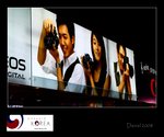 IMG_8204
