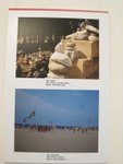 IMG_5803
