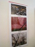 IMG_5810a