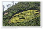 IMG_0293