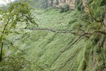 20041002-1416-04s