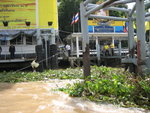 20061003-1002-24
