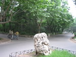 20060603-1837-18
