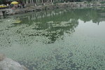 20060603-1855-20