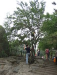20060604-1258-00