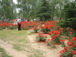 20060604-1258-38