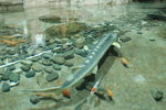 20060604-1314-20