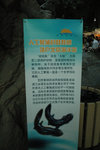 20060604-1320-20