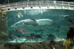 20060604-1321-20