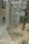 20060604-1444-02