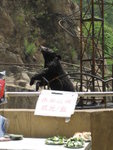 20060605-1251-18