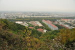 20081018-1000-46