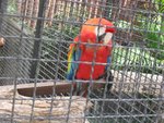 20071019-1224-12