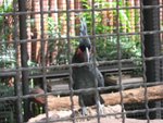 20071019-1224-24