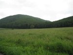 20071019-1410-42