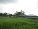 20071019-1410-58