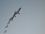 20061230-1514-02