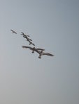 20061230-1516-00