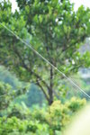 20080907-1622-09