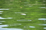 20080907-1642-13
